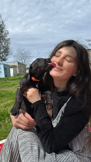 Котята на передержке. Ищу любящий дом