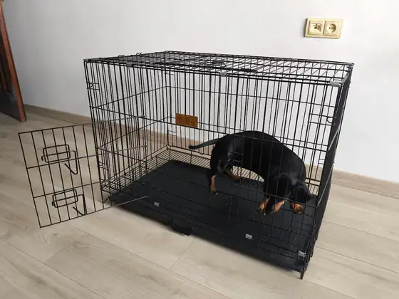 Клетка для собак б/у