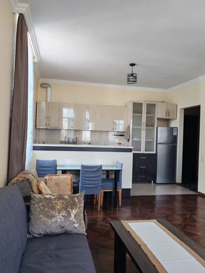 1+1 квартира, 50м2, Инасаридзе 7А