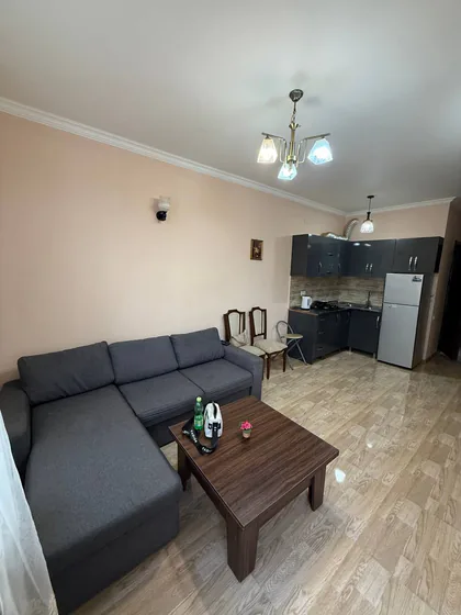 Квартира 1+1, 45 кв.м, ул. Горгасали, 158