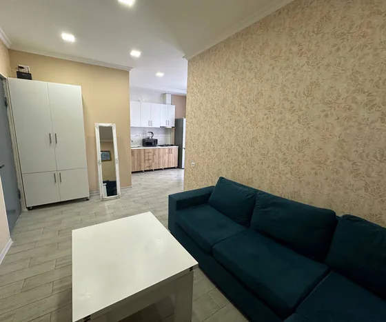 1+1, 48 кв.м, ул. Багратиони 208