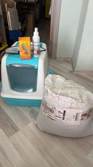 Кошачьи принадлежности