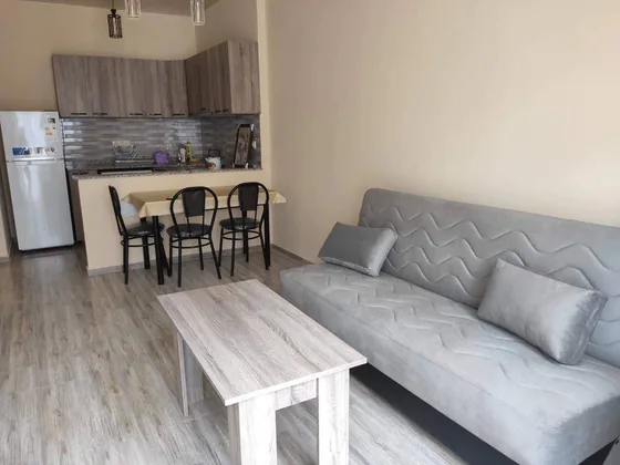 Квартира 1+1, 45 м2, ул. Селим Химшиашвили, 20