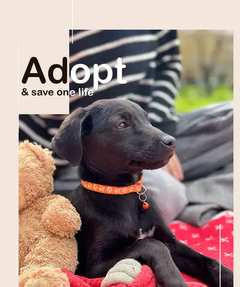 Девочка ждёт любящего дома