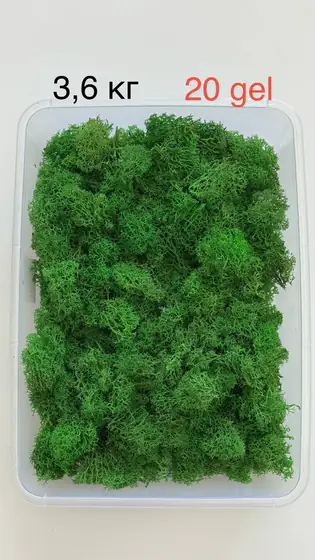 Стабилизированный мох флористический (корневая часть)